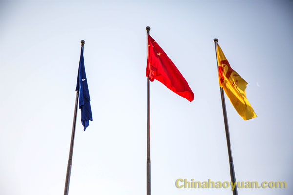 6731顶级游戏·(中国区)官方网站