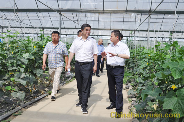 6731顶级游戏·(中国区)官方网站