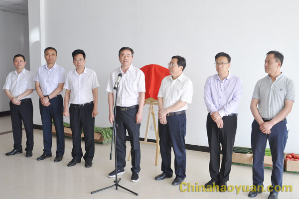 6731顶级游戏·(中国区)官方网站