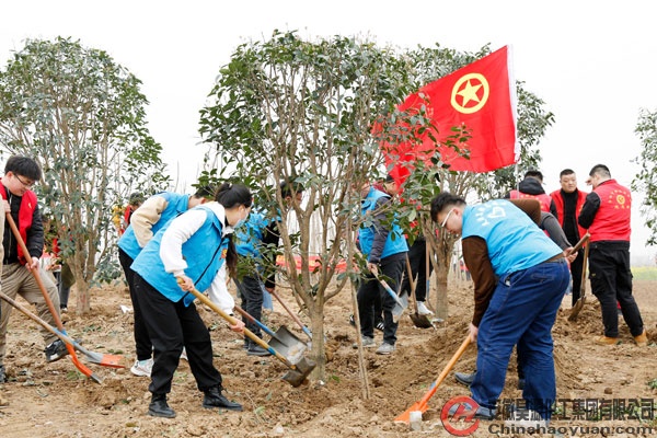 6731顶级游戏·(中国区)官方网站