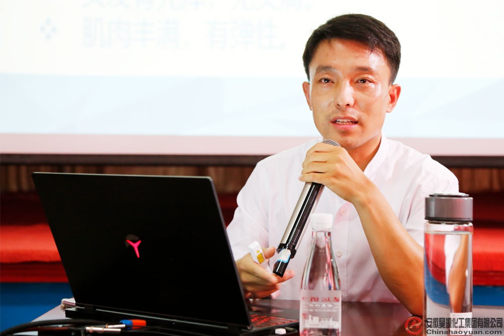 6731顶级游戏·(中国区)官方网站