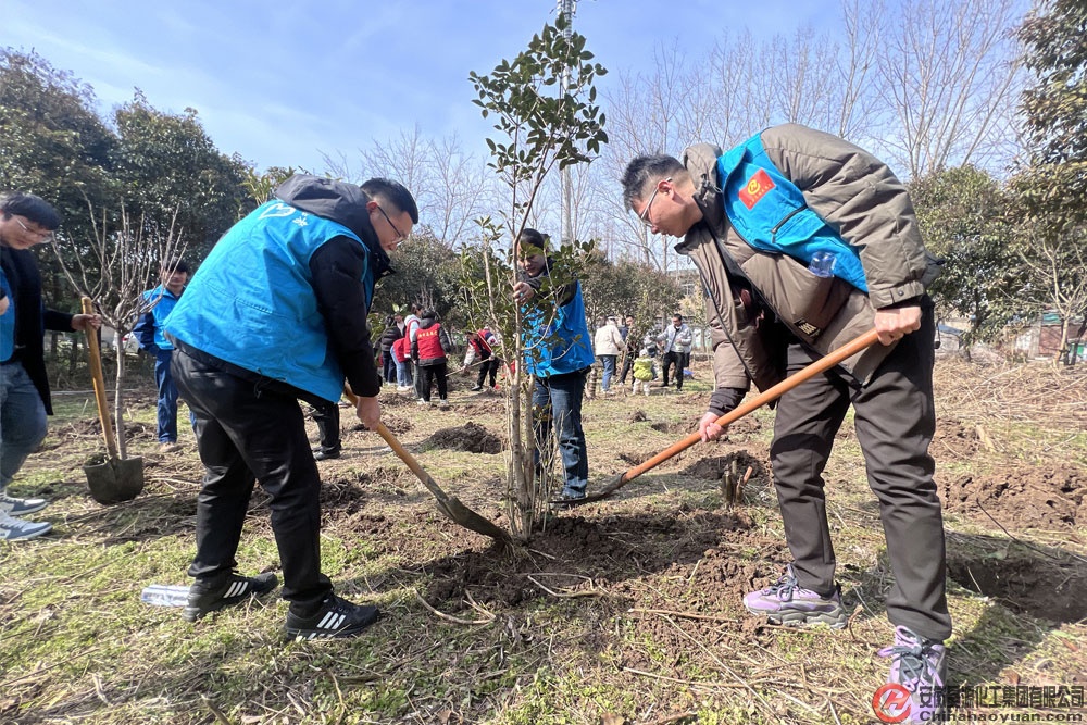 6731顶级游戏·(中国区)官方网站