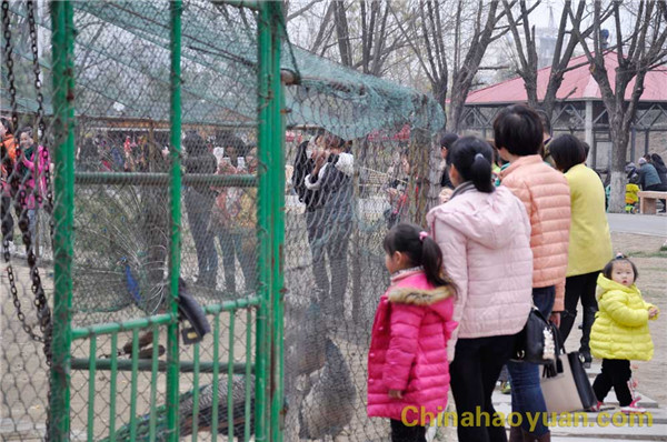 6731顶级游戏·(中国区)官方网站