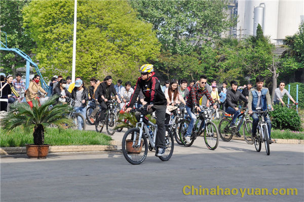 6731顶级游戏·(中国区)官方网站