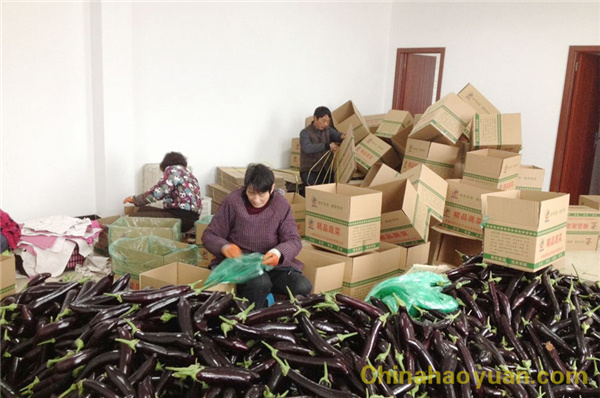 6731顶级游戏·(中国区)官方网站