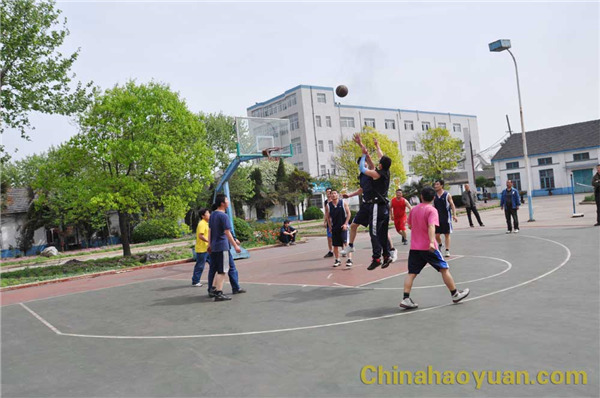 6731顶级游戏·(中国区)官方网站