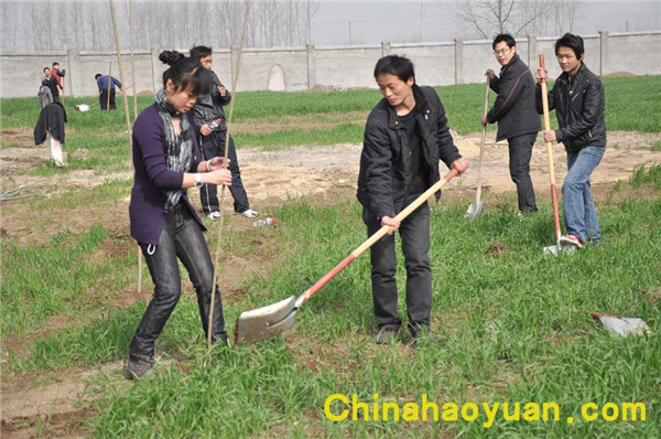 6731顶级游戏·(中国区)官方网站